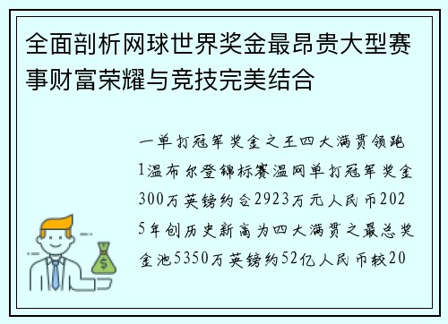 全面剖析网球世界奖金最昂贵大型赛事财富荣耀与竞技完美结合
